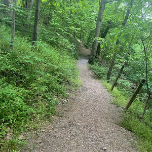 Meet your Posher, Ingrid